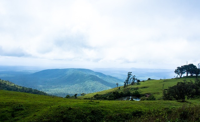 作的能力 作的能力