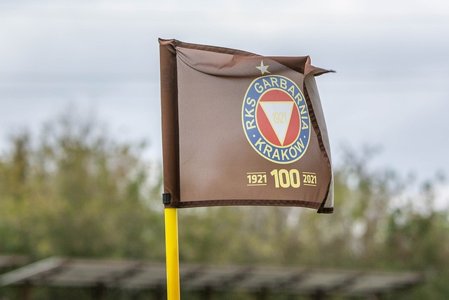 球界的顶尖 球界的顶尖