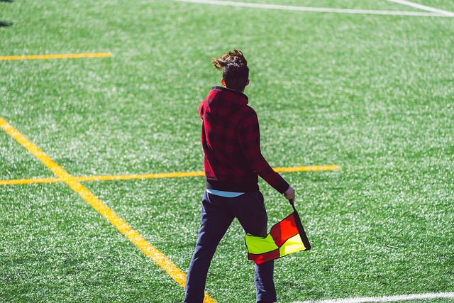 孙颖莎的视 孙颖莎的视