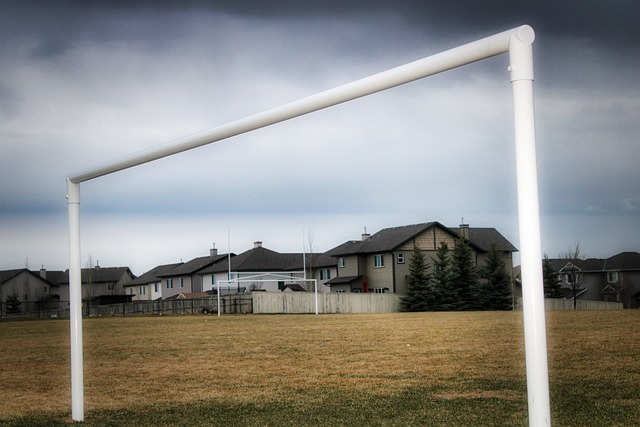 执教皇家马 执教皇家马