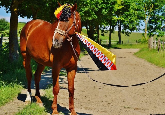 落幕前的几 落幕前的几