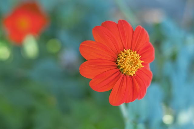 这样的表现 这样的表现