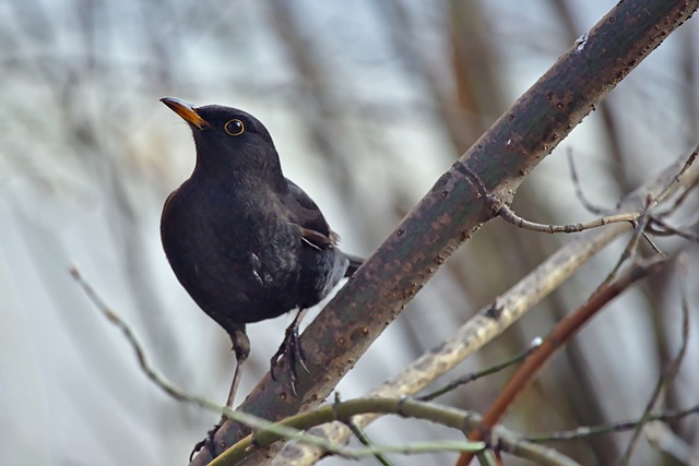 梦想不是遥 梦想不是遥